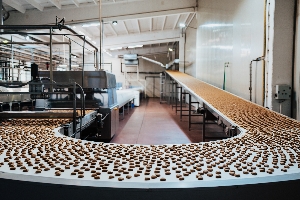 PET FOOD PRODUCTION STRENGTH
