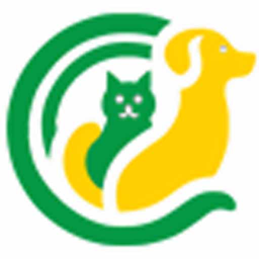 BSG Company Profile